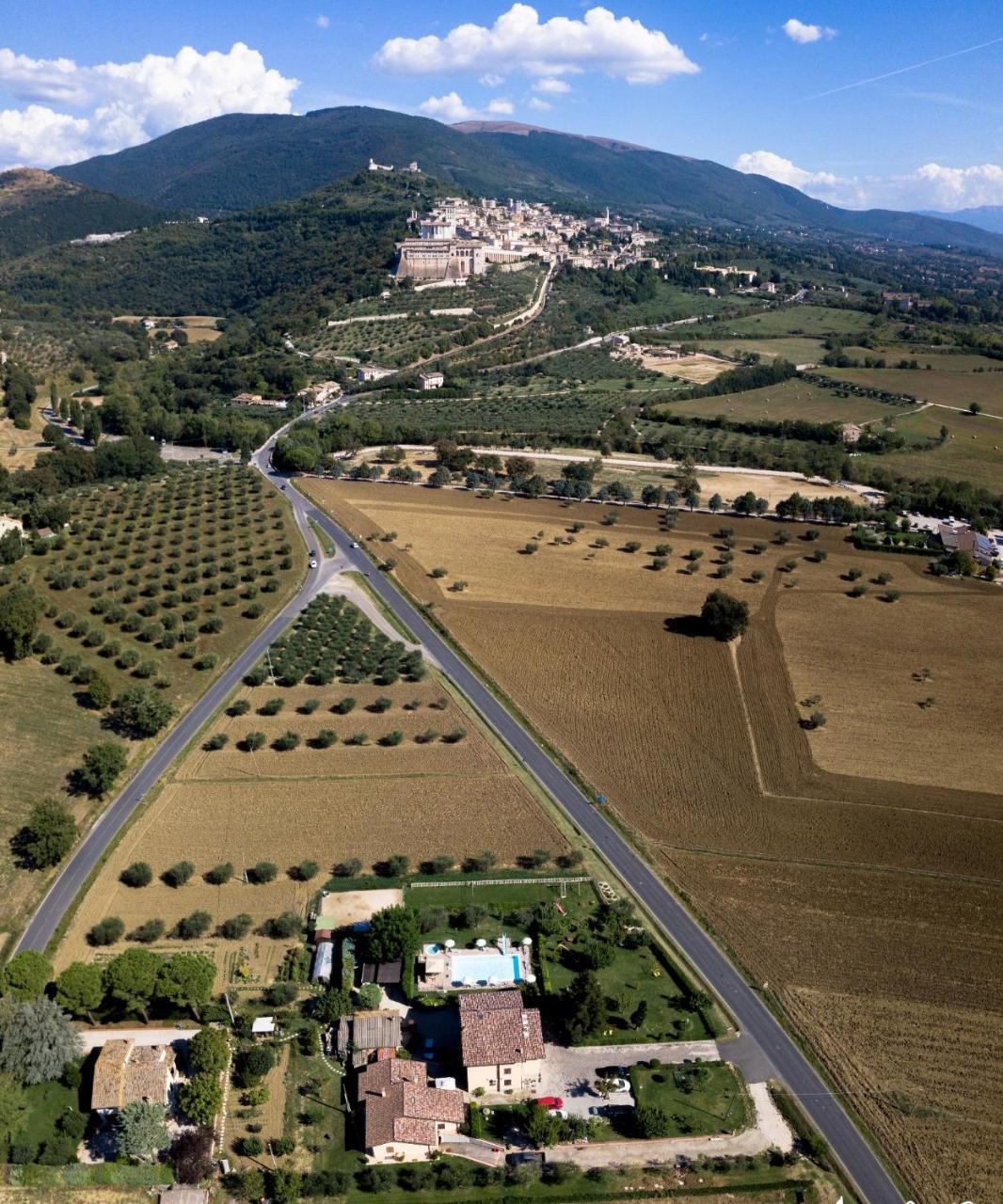 Agriturismo Il Girasole Asyż Zewnętrze zdjęcie